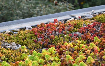 the cost of Wormhill green roof installation