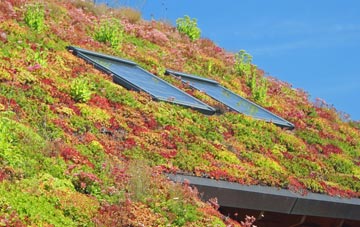 Wormhill living roof systems
